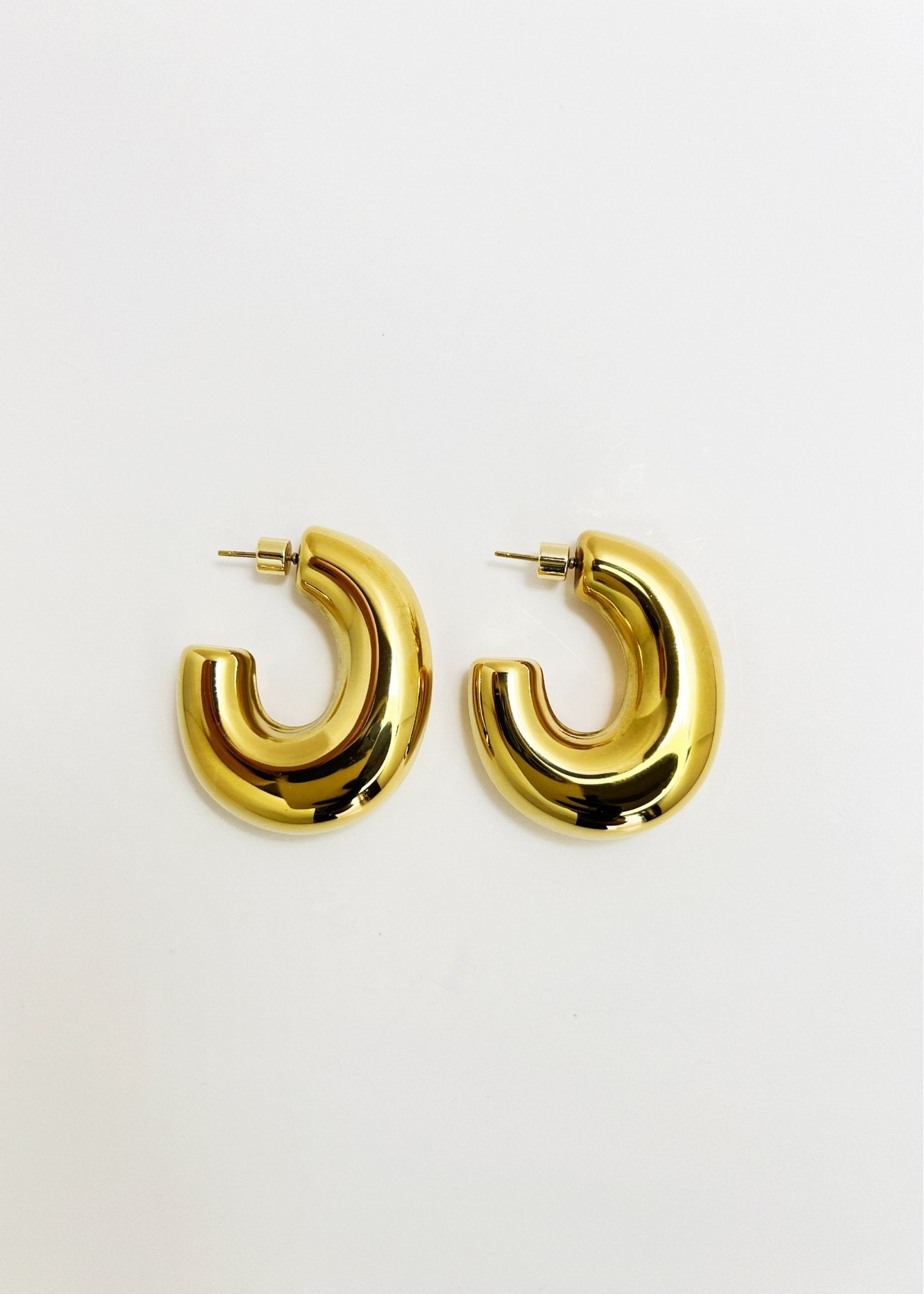 Chunky Hoop Earrings - Vicky&Nico